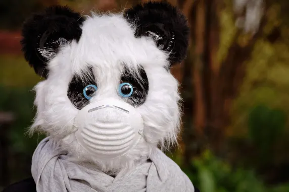 BigAzart Kazino Pagalba